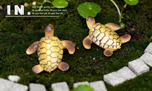 2126393146_394298364