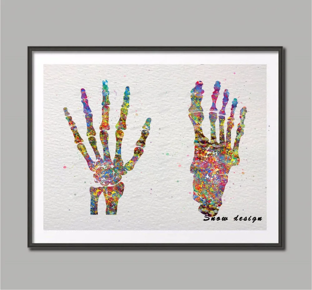 

Original watercolor Foot Hand canvas NON diamond painting Skeletal Anatomy Wall art Medical poster print Picture Home Decoration