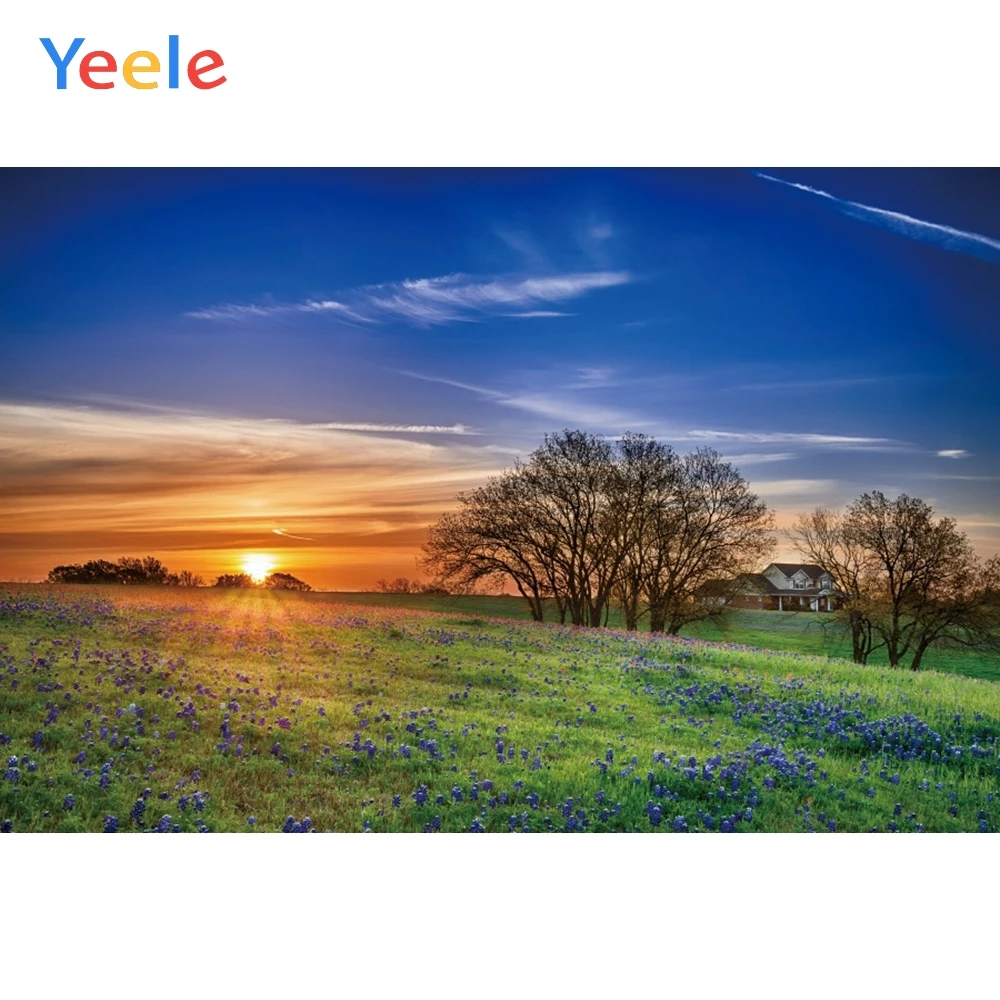 Фоны для фотосъемки Yeele небо закат облака луг деревья пейзаж индивидуальные фоны
