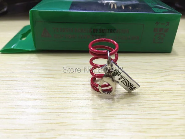 MV34C073 TEIN Spring keychain (1)