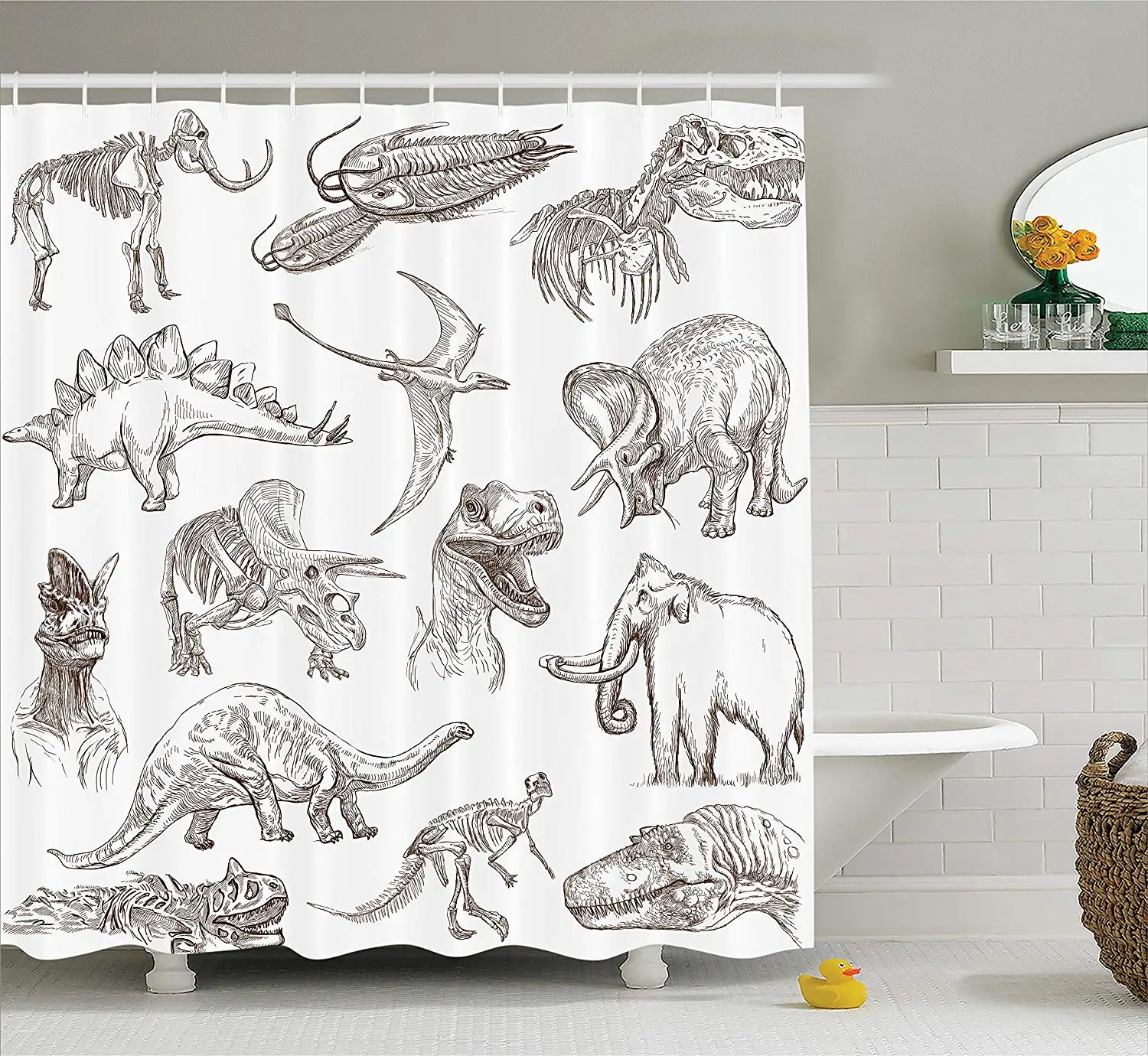 

Jurassic Shower Curtain Collection of Various Dinosaurs Illustrations Skeleton Biology Historic Fabric Bathroom Decor