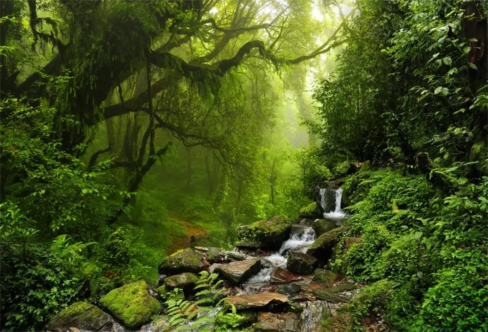 Laeacco лес джунгли дерево зеленый ручей камень трод естественный вид фотографии фоны для фотостудии - Цвет: Небесно-голубой