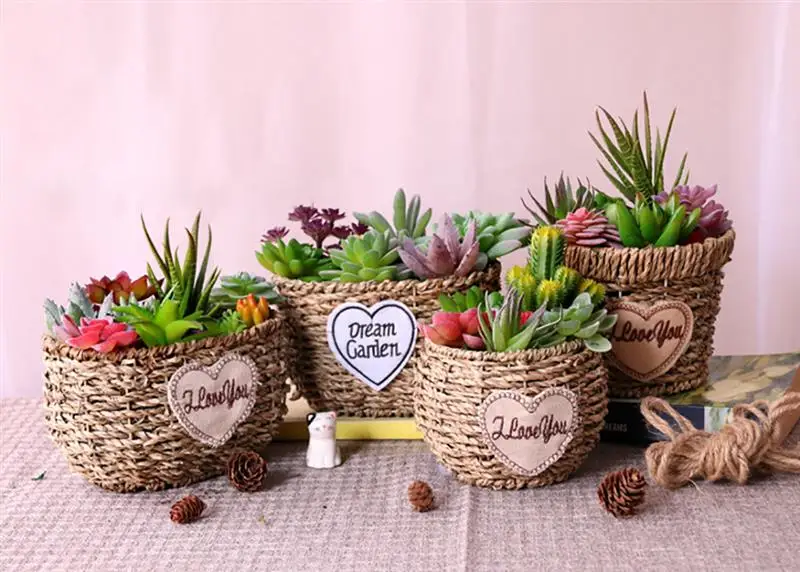 

Artificial Succulent Plants Assorted Lifelike Fake Decor Plants Artificial Planter with Basket