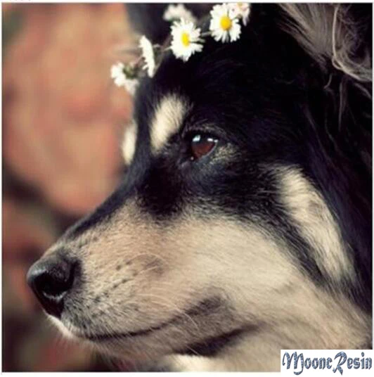 

5D Diy Diamond Mosaic Wearing Dog Diamond Painting Cross Stitch Full Square Diamond Embroidery Home Decor Needlework Paintings