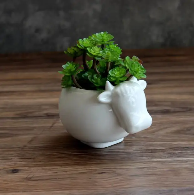 

Succulent Flower Pot Creative Ceramic Flower Pot Cute Zoo Round Belly Shape Animal Cow Succulent Flower Porcelain Pot