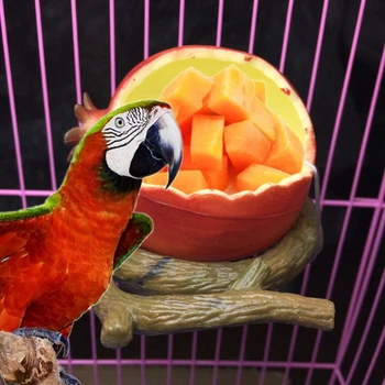 

Fruit Shape Bowl Bird Feeder Drinker Water Food Dispenser Container Pet Supplies SD-JQ