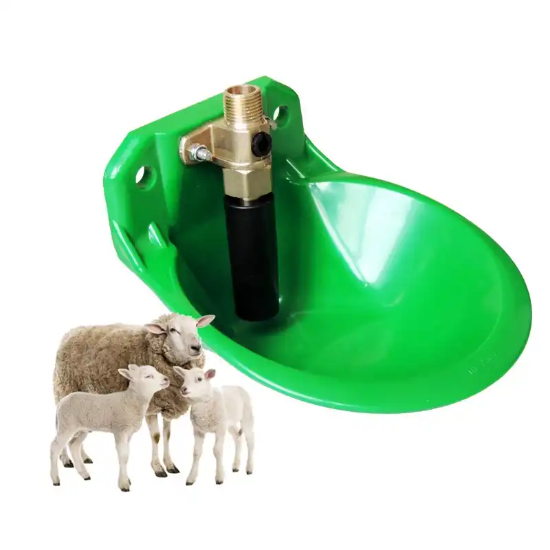 Bétail Mouton Chèvre Buveur Bol Cuivre Valeur Qualité Eau