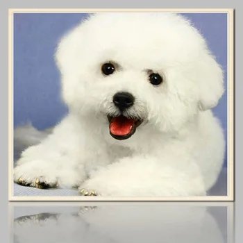 

Diamond Painting DIY 3D Bichon Dog Full Kit Rhinestone Cross Stitch Beaded Embroidery Animals Wall Decor Moasic Diamond Painting
