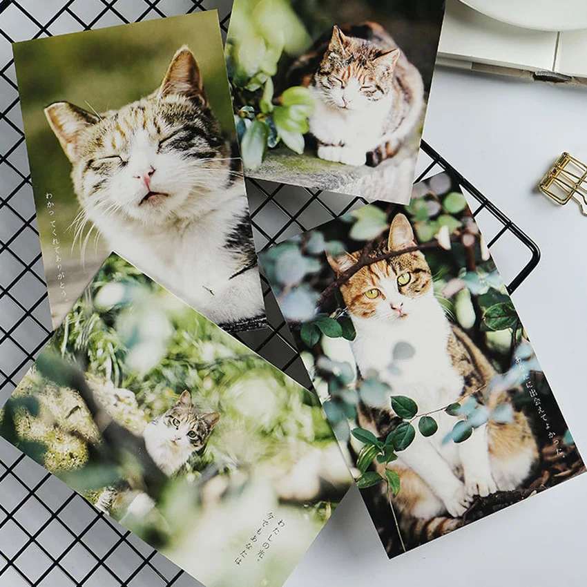 30 шт./лот милый кот лес открытка поздравительная открытка подарок на день рождения открытка с сообщением с возможностью креативного