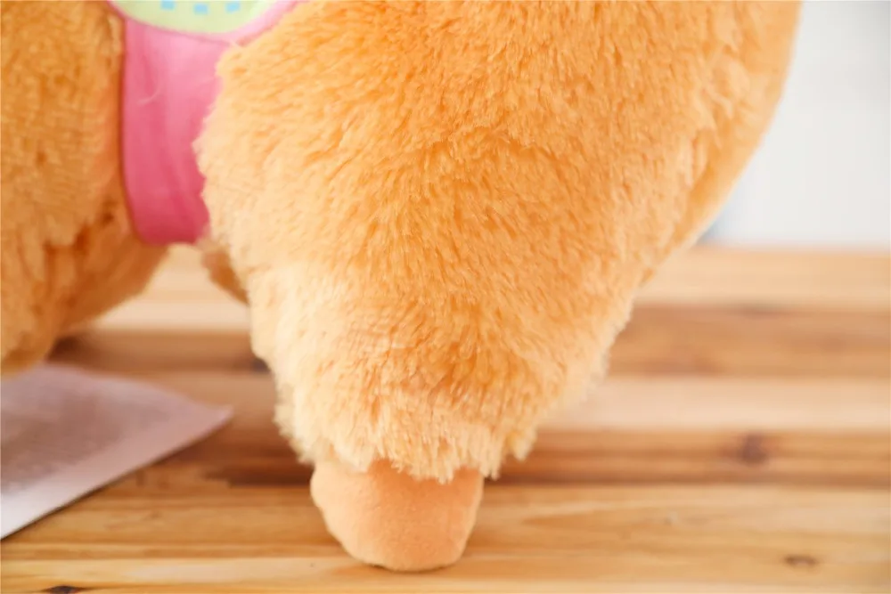 8 (1)