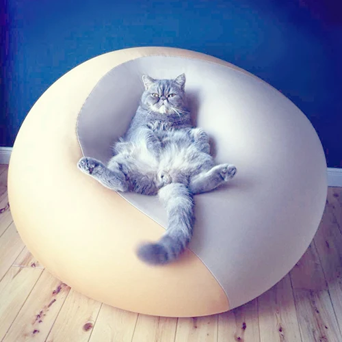 Squeak sound original meaning fight fat ball beanbag unstamped