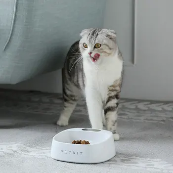 

Digital Pet Cat Antibacterial Bowl with Scale food bowls Smart dog slow feeder drinking dish for cats comedero perro