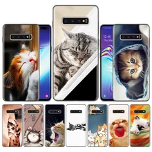 Чехол Capas Coque для samsung Galaxy S10 S9 S8 Plus 5G A30 A50 A70 A40 A20 Note 8 9 10 крышка каркас спальный котенок кошка