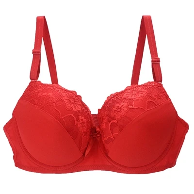 Elegant Lace Plus Size Women's Lingerie Bra