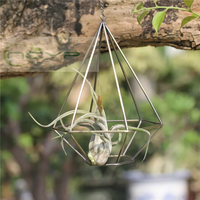 Air Plants Holder Pot Rustic Style Hollow Freestanding Hanging Metal Diamond Shaped Tillandsia Plant Rack Air Plants Holder Pot Rustic Style Hollow Freestanding Hanging Metal Diamond Shaped Tillandsia Plant Rack