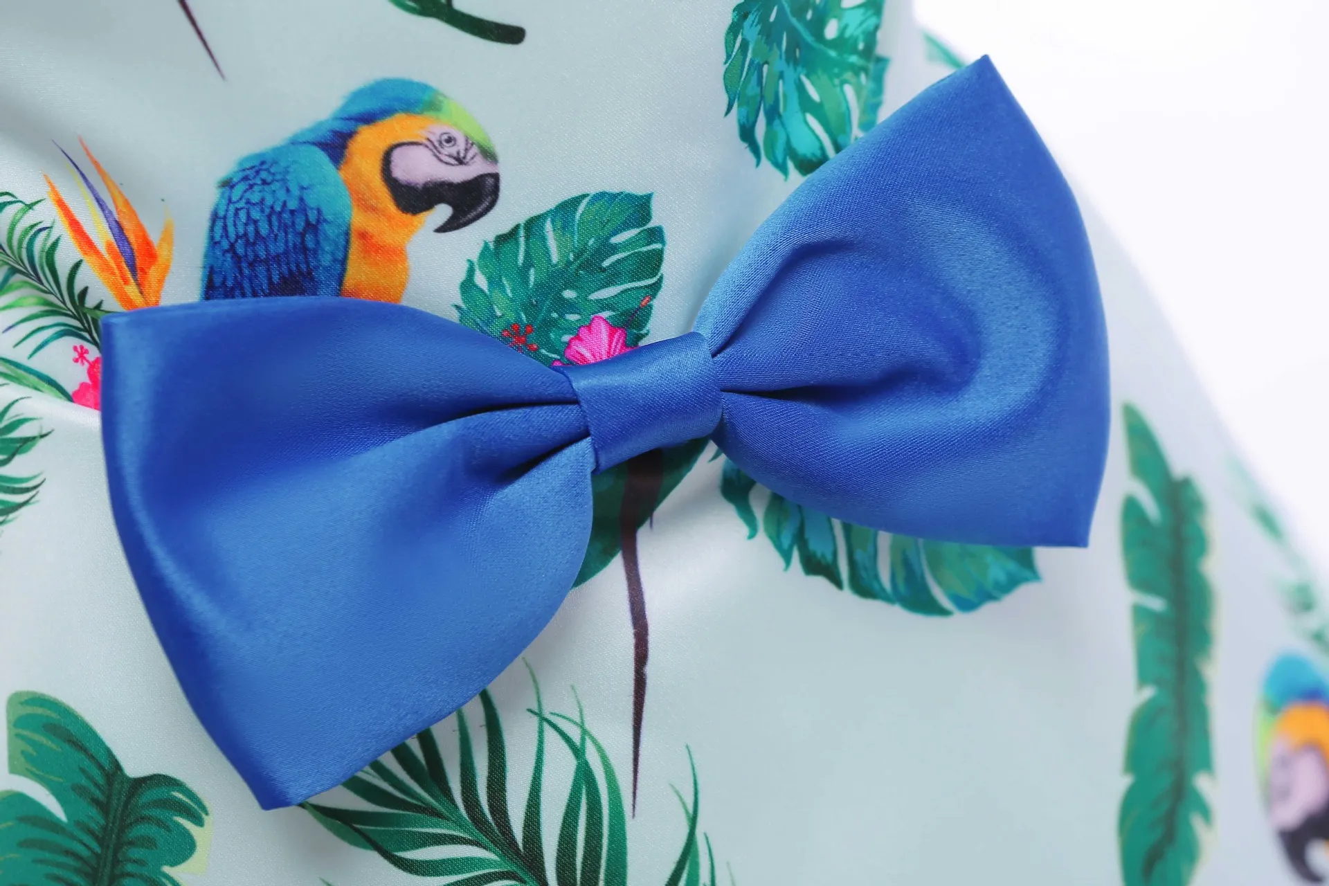 IMG_7245.JPG