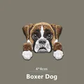 BOXER DOG