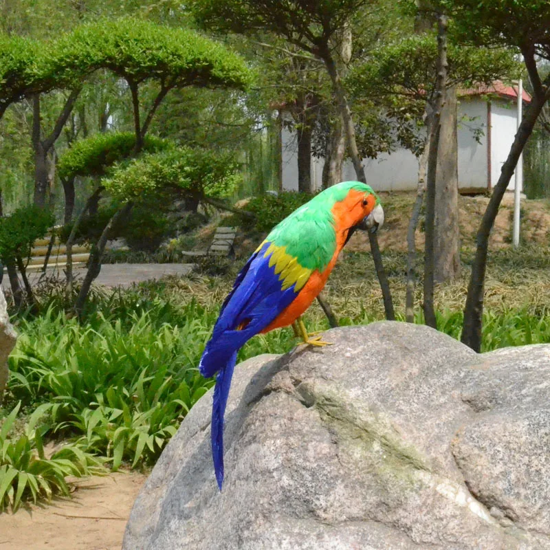 

about 40cm feathers bird,Handmade model,polyethylene&colourful feathers parrot bird ,home decoration toy gift w3936