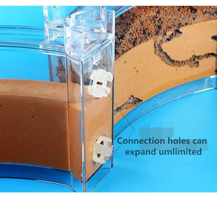 big-ant-house (6)