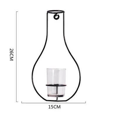 Скандинавские Кованые Настенные подвесные простые современные настенные украшения, гидропонная ваза, украшения для дома, гостиной, коридора, настенные Dec - Цвет: HH456900CS3