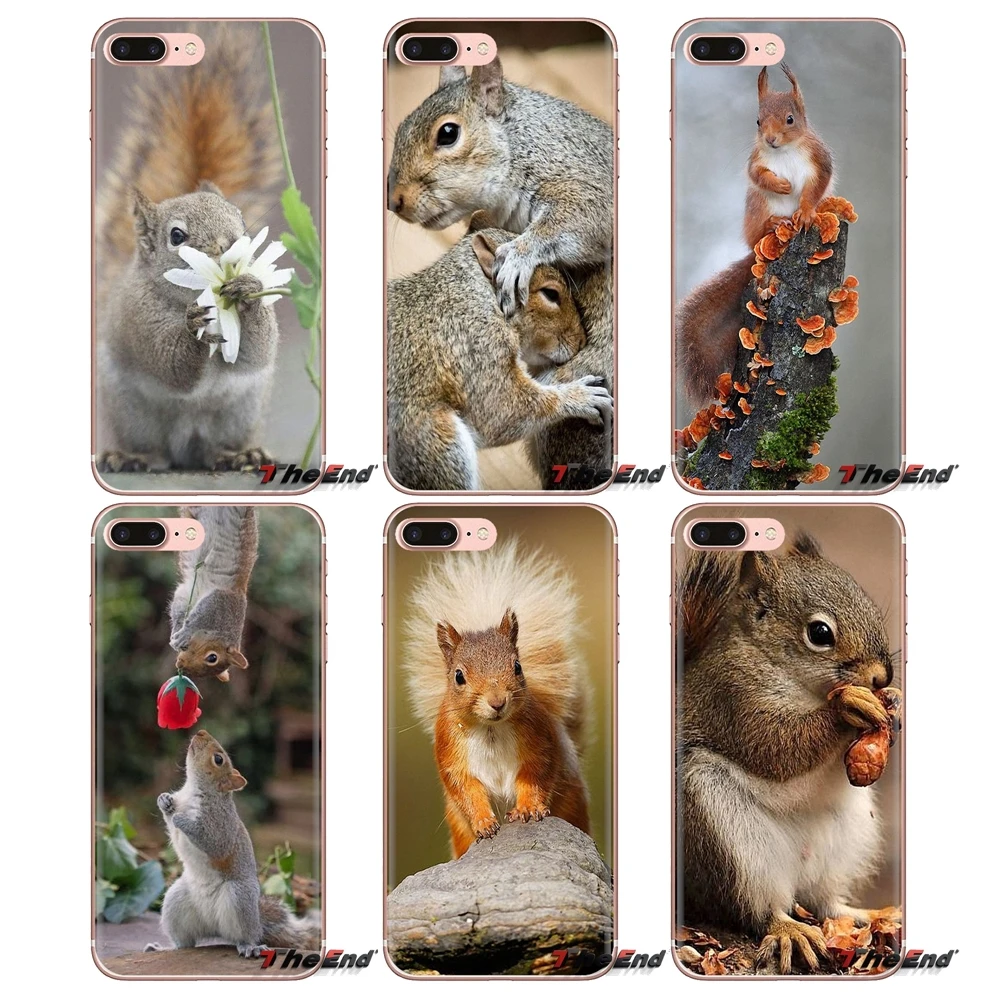 

Red Squirrel Sciurus vulgaris Transparent TPU Cases For Xiaomi Mi4 Mi5 Mi5S Mi6 Mi A1 A2 5X 6X 8 9 Lite SE Pro Mi Max Mix 2 3 2S