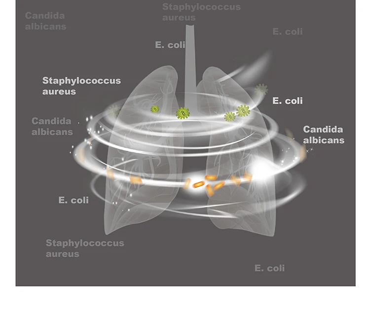 MOYEAH Cpap очиститель дезинфицирующее средство | сипап apap Bipap машина дезинфектор стерилизатор чистящий набор для респирационной трубки и маски