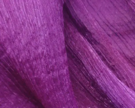 20180624115919