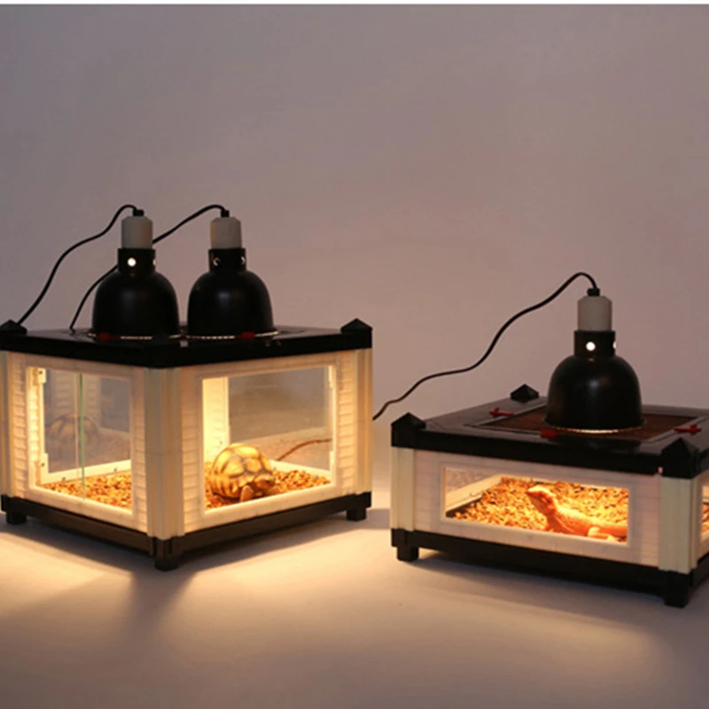 vivarium light fitting