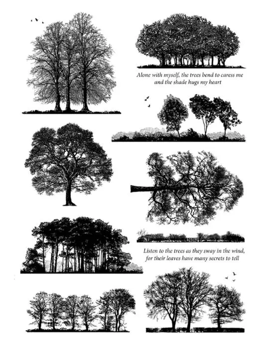 

tree Transparent Clear Silicone Stamp/seal for DIY Scrapbooking/ Album Decorative Clear Stamp Sheets A1288