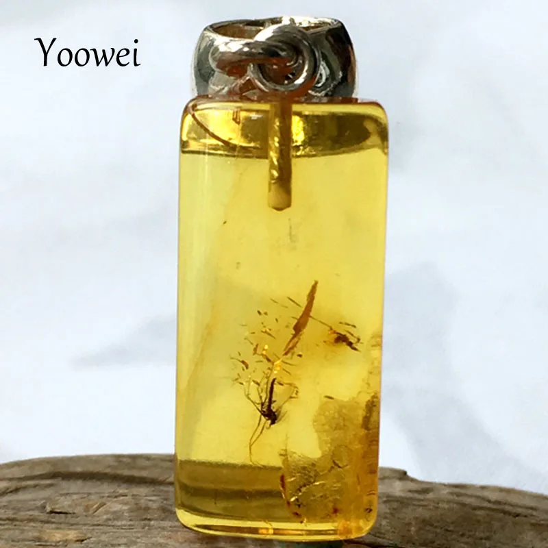 

Yoowei 22*10*5mm Flying Bugs Amber Necklace for Unisex Chic Tiny Small Original Jewelry Natural Insects Amber Pendant Wholesale