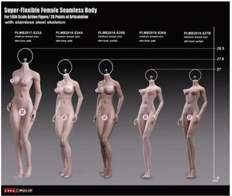 

TBLeague 1/6 S24A S25B S26A S27B Super-Flexible Female Seamless Bodies Toys New