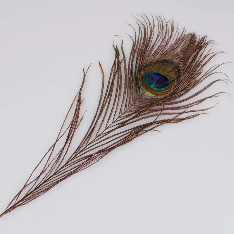 50p Natural Long Peacock Feathers centerpieces Cheap Bulk Centerpieces