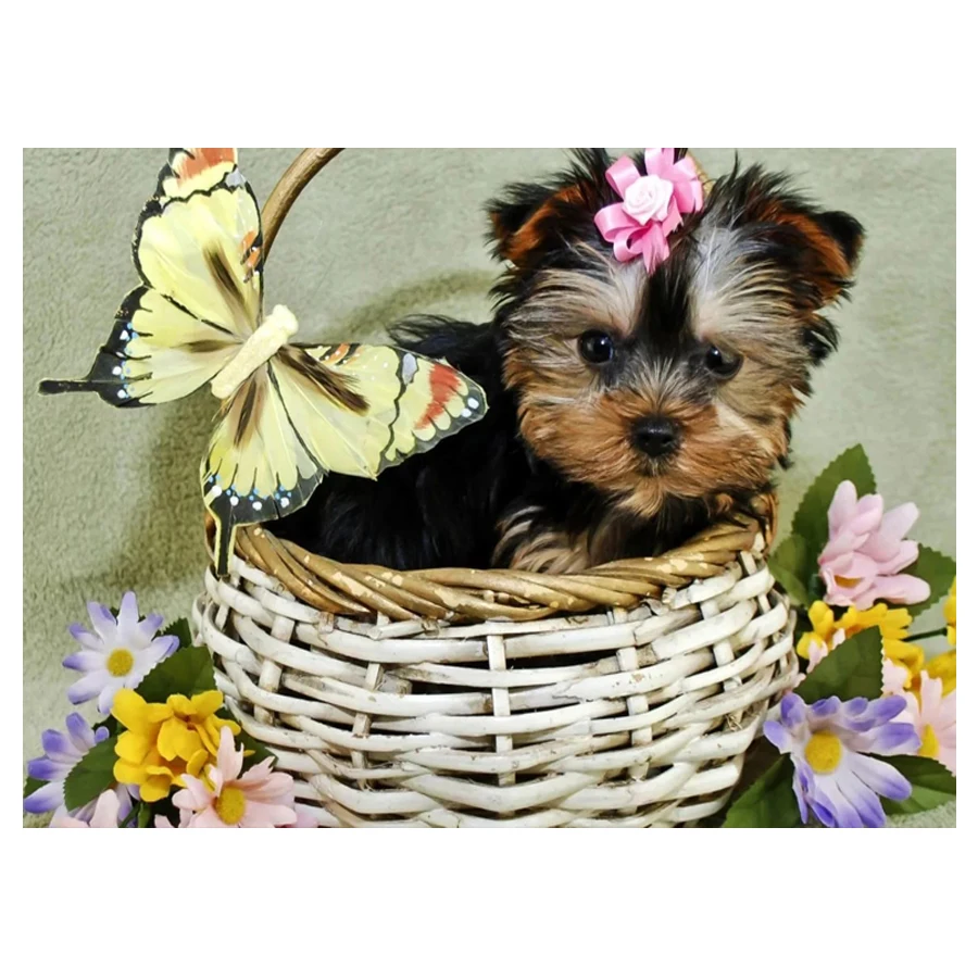 

2019 New Year Gift Diamond Painting Yorkshire Terrier dog DIY 5D Full Square Diamond Embroidery Diamond Mosaic Cross Stitch