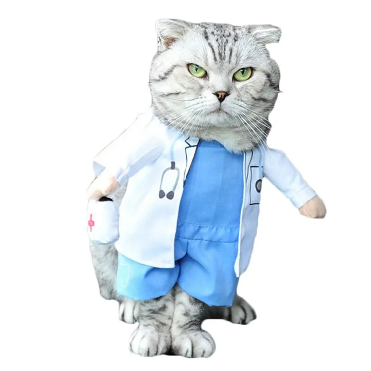 Funny Dog And Cat Costumes Funny Dog And Cat Costumes