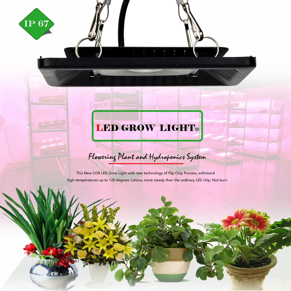 COB-LED-grow-light2jpg