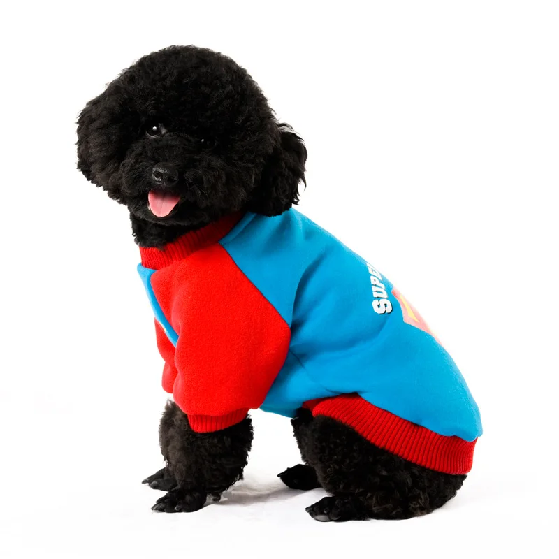 2 puppy clothes 
