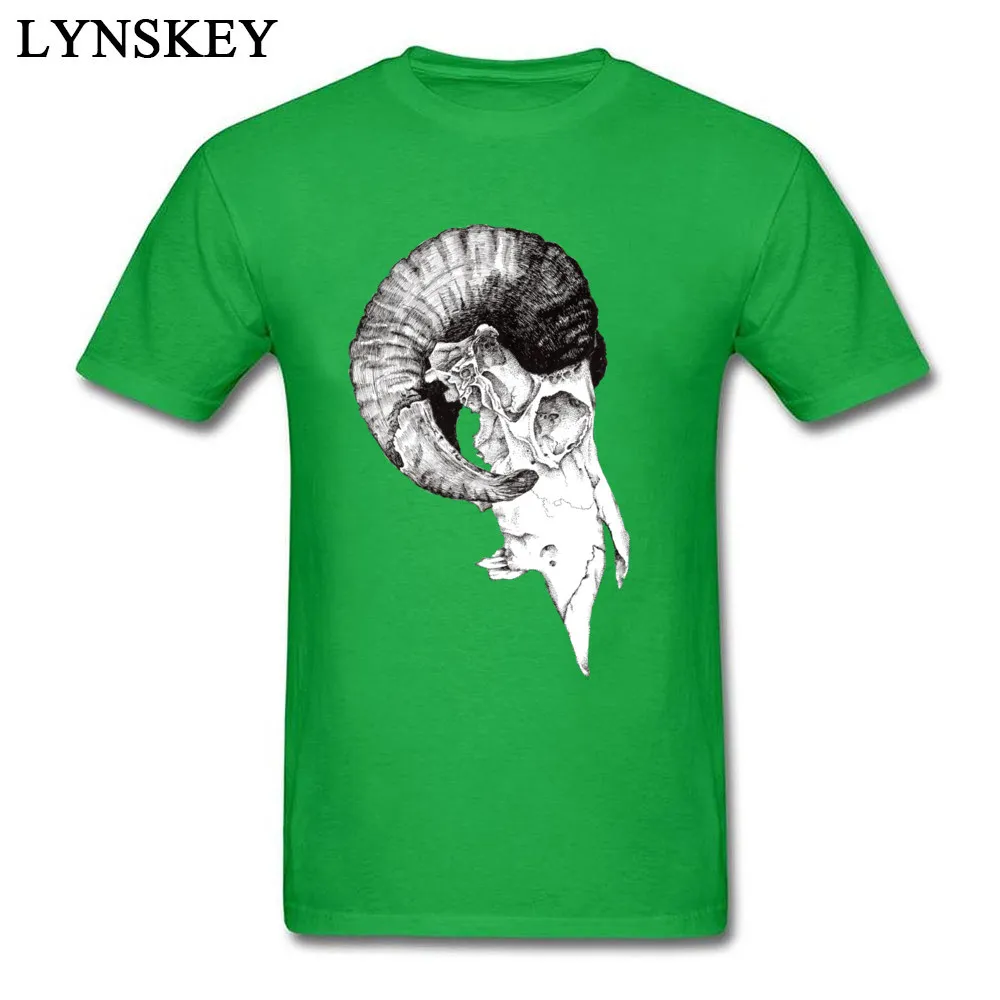 Ram Skull study_green