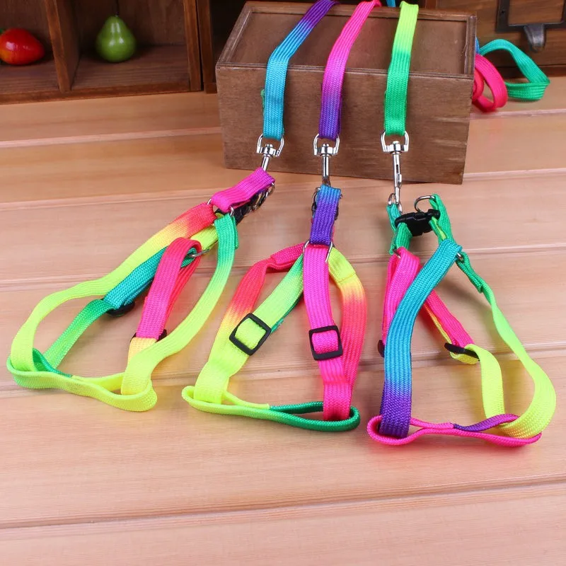 Colorful Rainbow Nylon Dog Leash and Harness Adjustable Puppy Pet