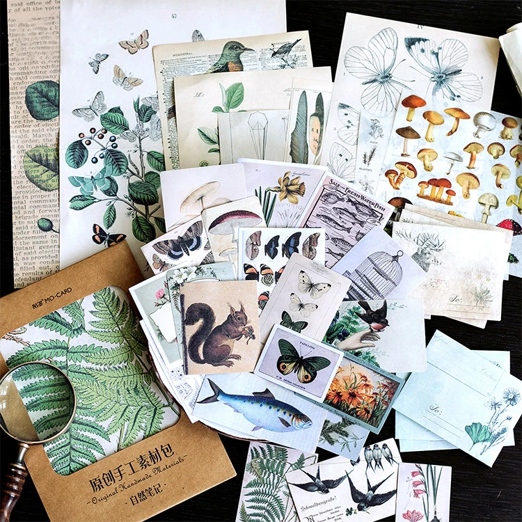 36PCS/ PACK Retro Plants Specimen Material Stickers Diary Planner Decorate Scrapbooking School Supplies sl1531