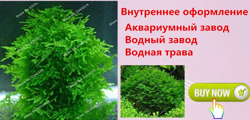 5943a0150gf41da0__