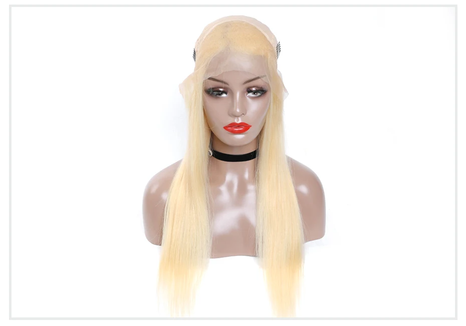 613 Lace Front Wig3