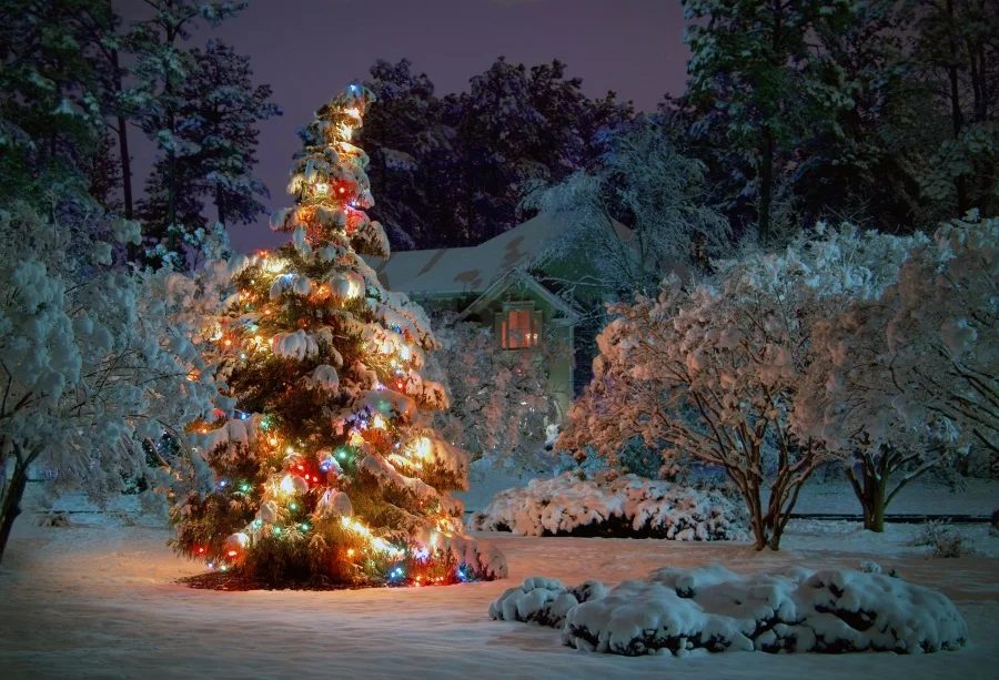 

Laeacco Winter Snow House Yard Christmas Tree Dusk Photography Backgrounds Customized Photographic Backdrops For Photo Stadio