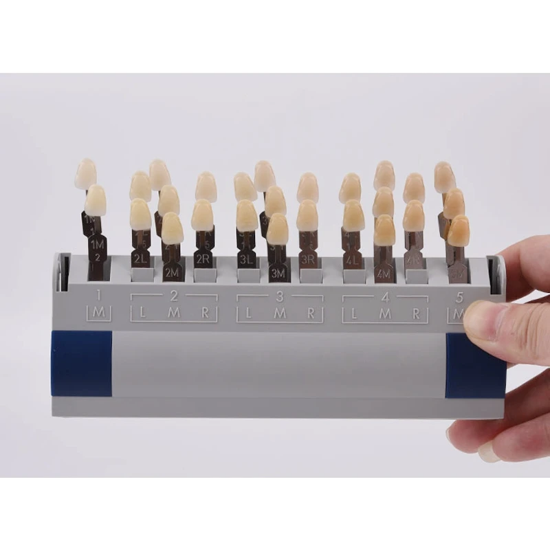 1 set dental lab Teeth Guide Denture 3D Master 29 Color Shades