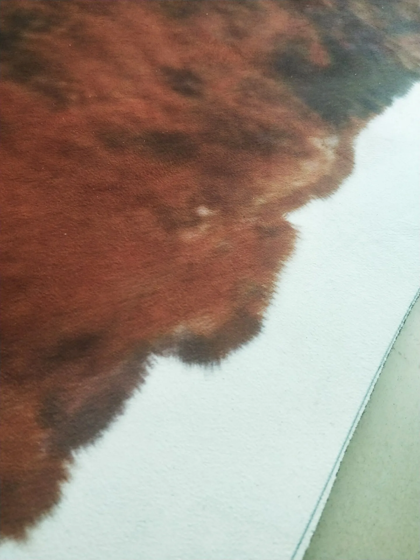 10132153041_1503613179.jpg