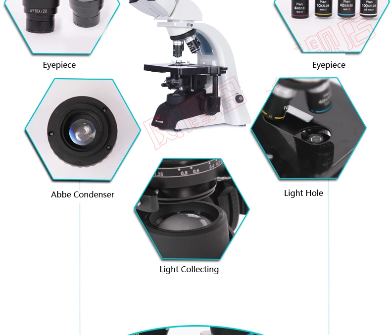 Феникс тринокулярный микроскоп 3 Вт Светодиодный светильник бесконечный ПЛАН Ахроматический объектив 40x-1600x для продажи из Китая поставка Феникс