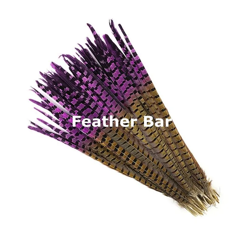 

Free shipping 200pcs dyed two tone ringneck pheasant tails Feather 50-55cm 20-22 inch natural &Real copper feathers