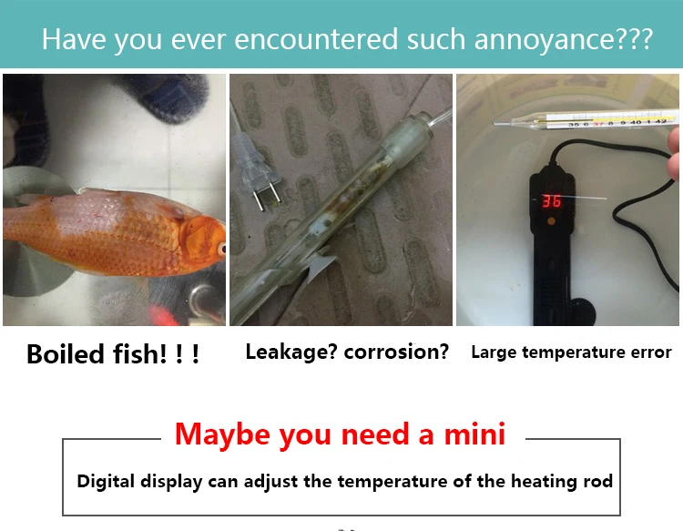 Small fish tank mini heater low water level turtle tank LED digital display heater automatic temperature explosion-proof heating