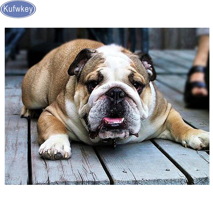 

Full Square 5D DIY Diamond painting English Bulldog Cross Stitch diamond Embroidery Rhinestones Painting 3d puzzle sticker decor