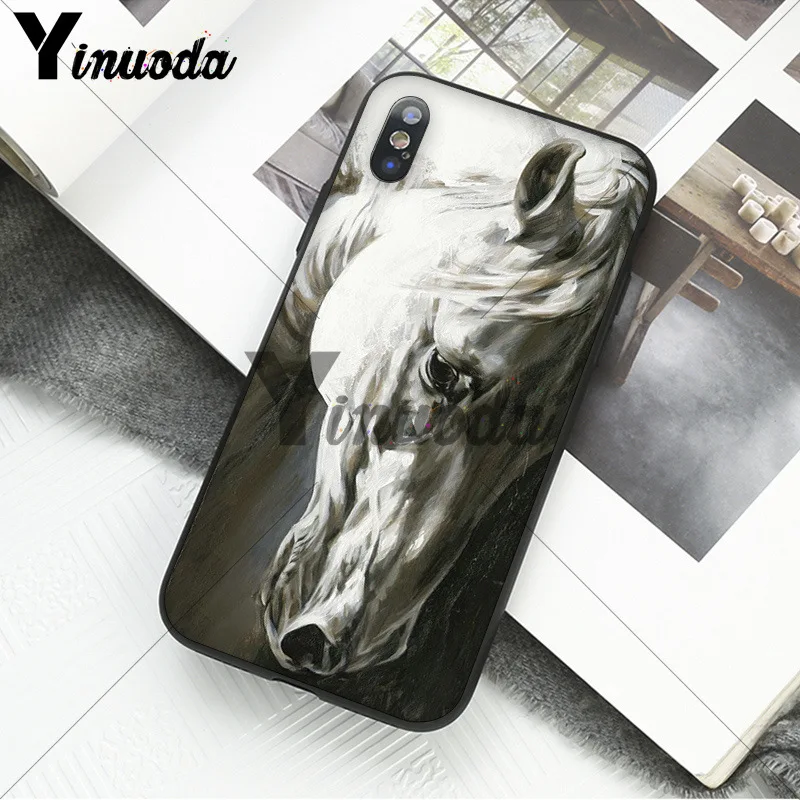 andalusian horse