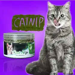 Новый 100% природные органические котенок обучение Премиум кошачья мята игрушки из порошка для Котенок Маленький игрушечная Кошка Pet